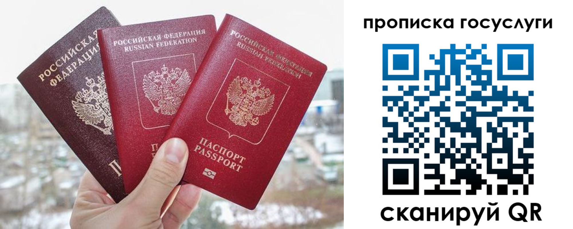 прописка законно в Кимовске